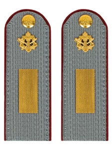 Погоны ФСИН серые на рубашку картон (в сборе) звание Старшина