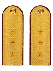 Погоны ФСИН парадные Старший Прапорщик картон цвет золотой