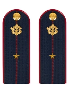 Погоны ФСИН на куртку ПЛАСТИК, звание Младший лейтенант 14х5,5см