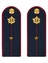 Погоны ФСИН на куртку ПЛАСТИК, звание Младший лейтенант 14х5,5см