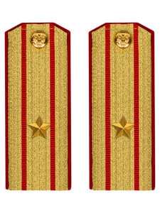 Погоны Общевойсковые парадные Майор картон цвет золотой