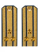 Погоны парадные ФСБ золотые картон звание Полковник