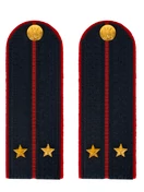 Погоны Полиция в сборе на китель темно-синие Лейтенант картон 13см Пришивные