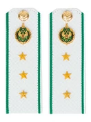 Погоны Пограничной службы ПС ФСБ белые картон звание Старший Прапорщик