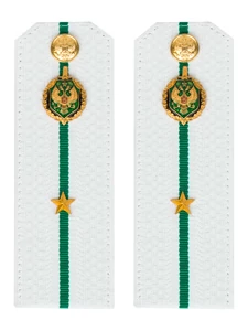 Погоны Пограничной службы ПС ФСБ КАРТОН белые звание Младший лейтенант 14х5см