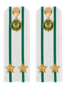 Погоны Пограничной службы ПС ФСБ в сборе КАРТОН белые звание Подполковник 14х5см