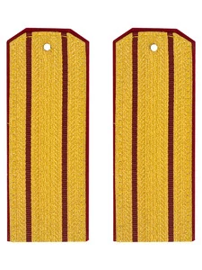 Погоны Росгвардии ФСВНГ парадные золотые 2 просвета галун 14х5см картон