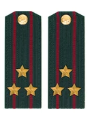 Погоны Росгвардии ФСВНГ на китель 14х5 см ПЛАСТИК звание Полковник