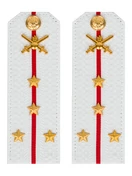 Погоны МО Сухопутные войска белые звание Капитан Картон