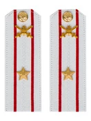 Погоны МО Сухопутные войска белые звание Майор Картон