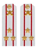 Погоны МО Сухопутные войска белые звание Полковник Картон