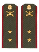 Погоны МО Сухопутные войска зеленые звание Прапорщик Картон