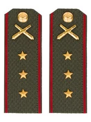 Погоны МО РВиА зеленые звание Старший прапорщик Картон