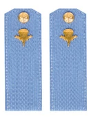 Погоны МО ВДВ голубые на рубашку Рядовой в сборе Картон