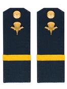 Погоны ВДВ с фурнитурой синие с желтым галуном Ефрейтор Пластиковые