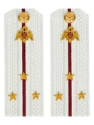 Погоны Росгвардии ФСВНГ на рубашку белые 14х5 см Картон звание Старший Лейтенант