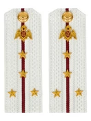 Погоны Росгвардии ФСВНГ на рубашку белые 14х5 см Картон звание Капитан