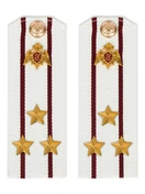 Погоны Росгвардии ФСВНГ на рубашку белые 14х5 см Картон звание Полковник