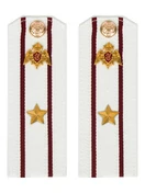 Погоны Росгвардии ФСВНГ на рубашку белые 14х5 см пластик звание Майор