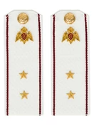 Погоны Росгвардии ФСВНГ на рубашку белые 14х5 см КАРТОН звание Прапорщик