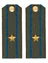 Погоны ВДВ, ВКС, ВВС на китель зеленые с фурнитурой звание Майор Пластик