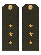 Погоны МО общевойсковые на китель зеленые звание Старший Прапорщик Картон