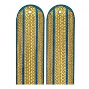 Погоны ФССП парадные золотые 2 просвета картон