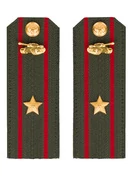 Погоны МО Танковые войска зеленые звание Майор ПЛАСТИК