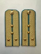 Погоны ВДВ, ВКС, ВВС парадные золотые с фурнитурой на Китель звание Капитан Картон