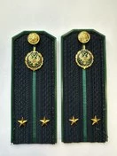 Погоны Пограничной службы ПС ФСБ в сборе на куртку Лейтенант ПЛАСТИК