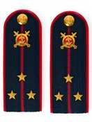 Погоны Полиции ПЛАСТИК (в сборе) укомплектованные с фурнитурой темно-синие (Старший лейтенант) 14х5см