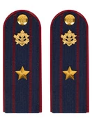 Погоны ФСИН на куртку ПЛАСТИК, звание Майор 14х5,5см