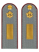 Погоны ФСИН серые на рубашку картон (в сборе) звание Старшина