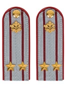 Погоны ФСИН на рубашку ПЛАСТИК, звание Подполковник цвет серый 14х5 см