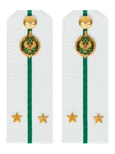 Погоны Пограничной службы ПС ФСБ КАРТОН белые звание Лейтенант 14х5см