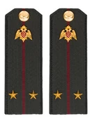 Погоны Росгвардии ФСВНГ на куртку 14х5 см ПЛАСТИК звание Лейтенант