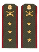 Погоны МО Сухопутные войска зеленые звание Старший Прапорщик Картон