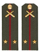 Погоны МО РВиА зеленые звание Лейтенант Картон