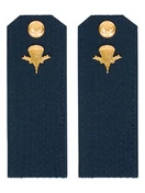 Погоны ВДВ с фурнитурой синие рядовой Пластиковые