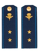 Погоны ВДВ с фурнитурой синие прапорщик Пластиковые