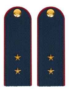 Погоны ФСИН на Китель звание Прапорщик картон темно-синие 14х5 см