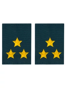 Фальш погоны МЧС с вышивкой 8х6см звание Полковник