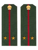 Погоны МО офисные зеленые звание Лейтенант Пластик