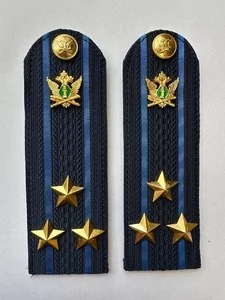 Погоны ФССП с фурнитурой звание Полковник картон 14х4,5см цвет темно-синий