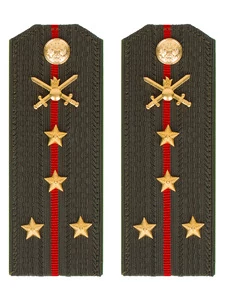 Погоны МО Сухопутные войска зеленые звание Капитан Пластик