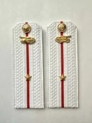 Погоны МО Танковые войска белые звание Младший Лейтенант Картон