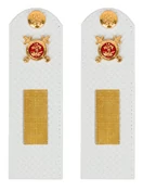 Погоны Полиции на рубашку белые КАРТОН Звание Старшина 13 см