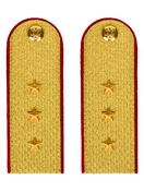 Погоны МВД парадные звание Старший Прапорщик цвет золотой