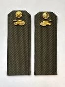 Погоны МО Танковые войска зеленые звание Рядовой Картон