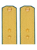Погоны ВДВ, ВКС, ВВС парадные золотые с фурнитурой на Китель звание Прапорщик Картон